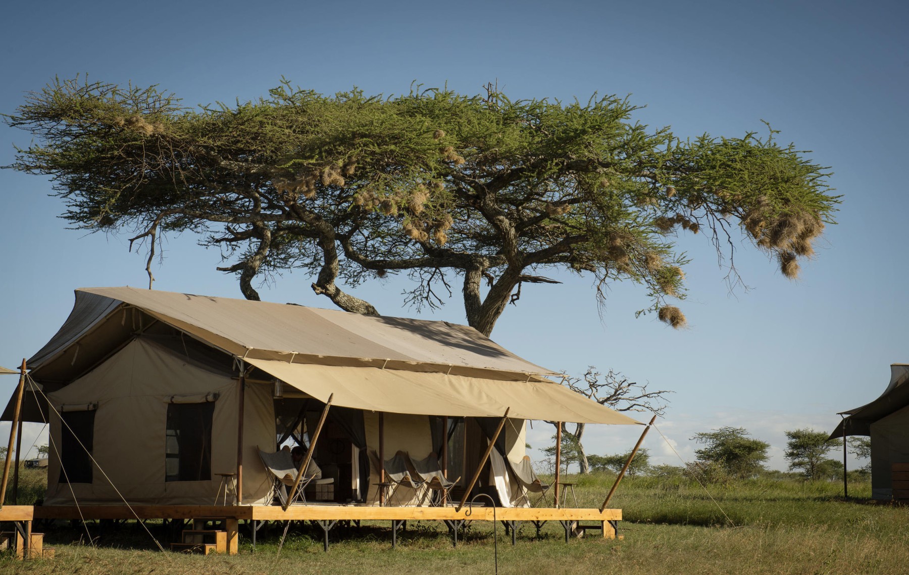 Siringit Serengeti Camp